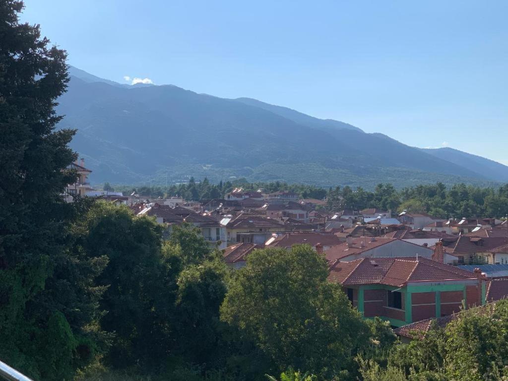 Rodon With Great View, Sauna And Jacuzzi Villa Litochoro